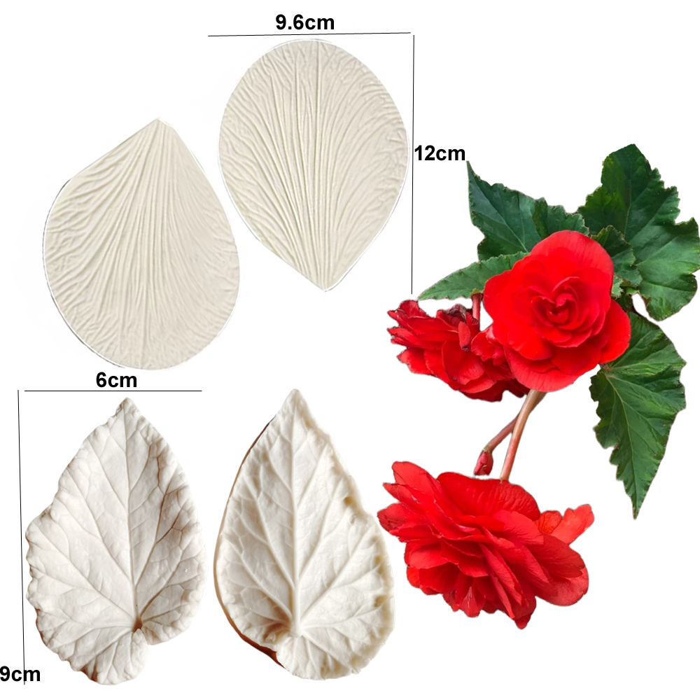 Begonia Tuberous Veiner Stampi - Eco Art Craft recensione e prezzo