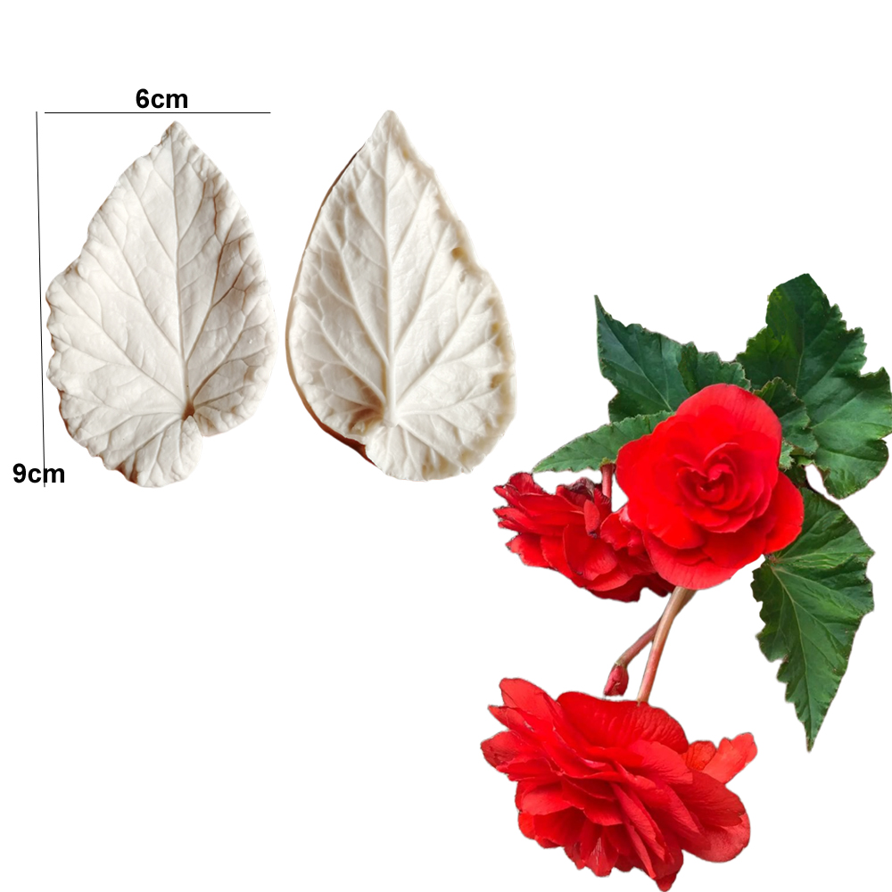 Begonia Tuberous Veiner Stampi - Eco Art Craft recensione e prezzo