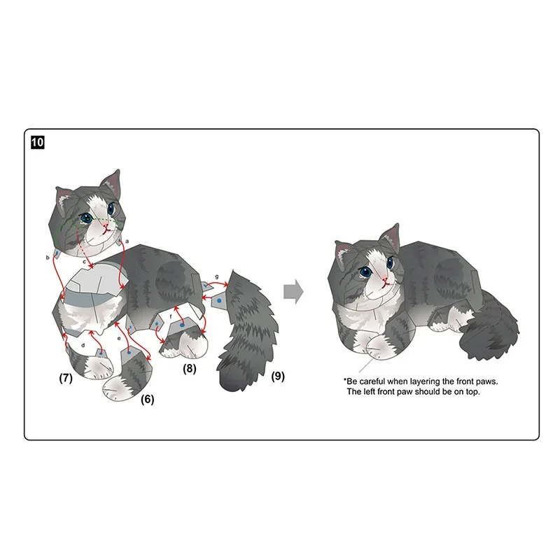 Foresta norvegese Gatto Pieghe - Art Craft Center recensione e prezzo