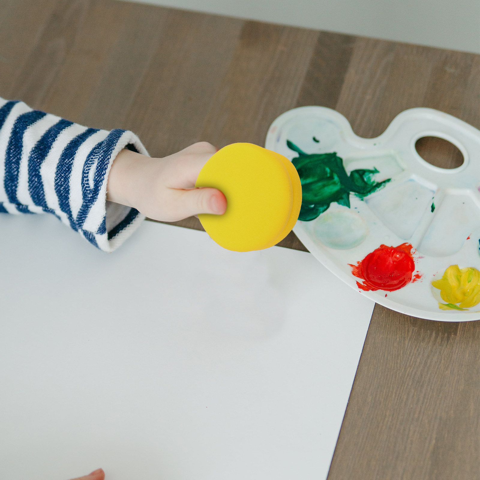 Set di 2 Spugne Rotonde per Pi - Art Craft Classes recensione e prezzo