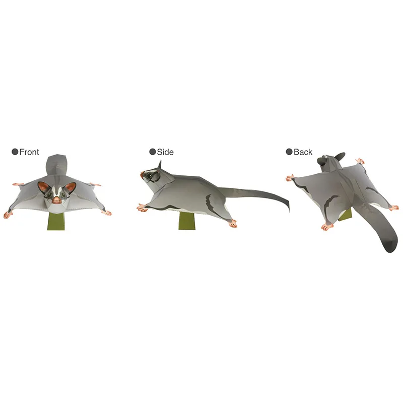 Sugar Glider Flying Mouse Fatt - Art Craft Center recensione e prezzo